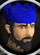 File:Blue partyhat chathead.png