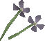 File:Stinkbloom detail.png