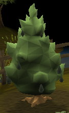 File:Avocado tree.png