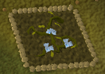 File:Blindweedz.png