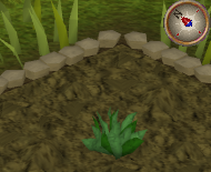 File:GreenHerb2.png
