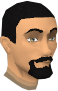 File:Johanus chathead.png