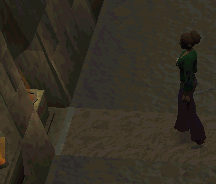 File:Goblin priest.gif