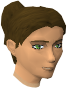 File:Squire (Veteran) chathead.png
