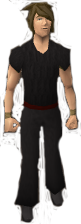 File:Reinald's Smithing Emporium Gold bands.png