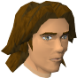 File:Guard SOPS chathead.png