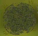 File:Leaftrap.png