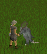 File:Void Ravager Dig.gif