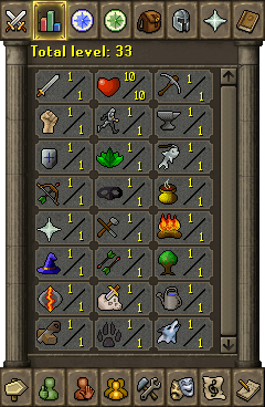 File:Skills interface bug.png