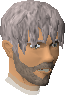File:Ajjat chathead.png