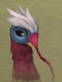 File:Matt.png