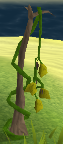 File:Vanilla plant.png