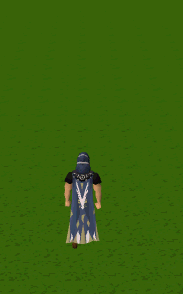 A player performing the Veteran cape emote.