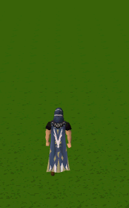 File:Veteran cape animation.gif