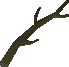 A detailed image of a willow branch.