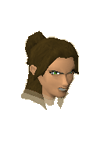 File:Archer chathead.png