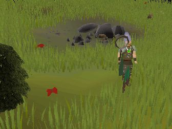 File:Catching ruby harvests.png