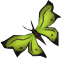 File:Green soporith moth detail.png