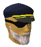File:Roachey chathead old.png