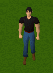 File:Juju teleport spiritbag.gif