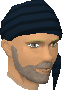 File:Pickpocketing volunteer chathead.png