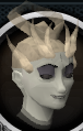 File:Char Chathead1.png