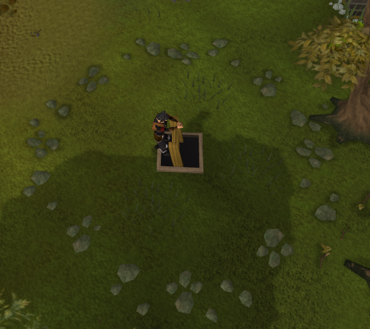 File:Monk's Friend Dungeon.png