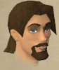 File:Sir Gawain chathead.png