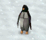 File:Penguin Bow.gif