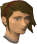 File:Carwen Essencebinder chathead.png