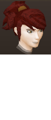 File:Female hair ponytail spiked.png