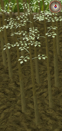 File:Jute5.png