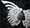 Thumbnail for version as of 23:17, 8 January 2024