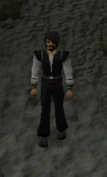 File:Protect item curse.gif