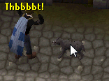 File:Shoo away stray dog.gif