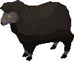 Sheep (black)