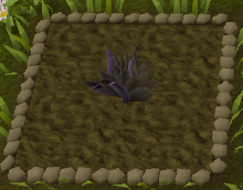 File:Dead herb.png