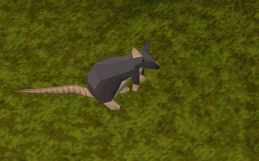 File:Rat idle animation.gif