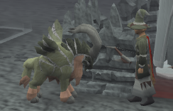 File:Lvl5 familiar.png