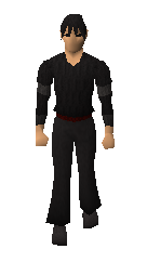 File:Thes Sleeves M Woolen Sleeves.png