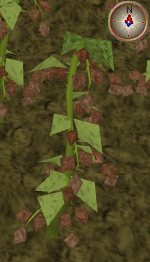 File:Wildblood8.png
