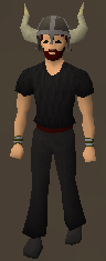 File:Berserker helm equipped.png