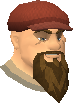 File:Grundt chathead.png