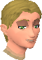 File:Ashild chathead.png