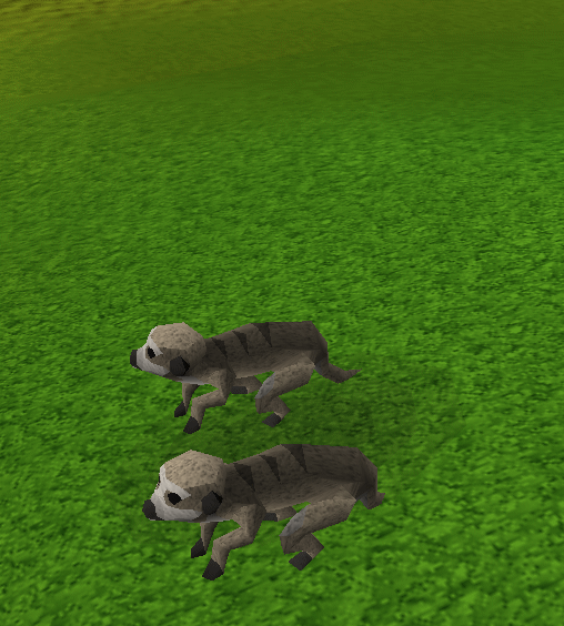 File:Digging Meerkat.gif
