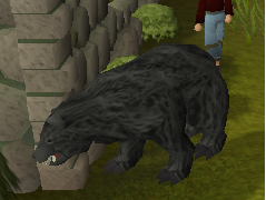 File:Black bear.png
