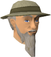 File:Historian Minas chathead.png