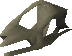 File:Lizard skull detail.png