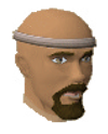 File:Sir Ren Itchood chathead.png