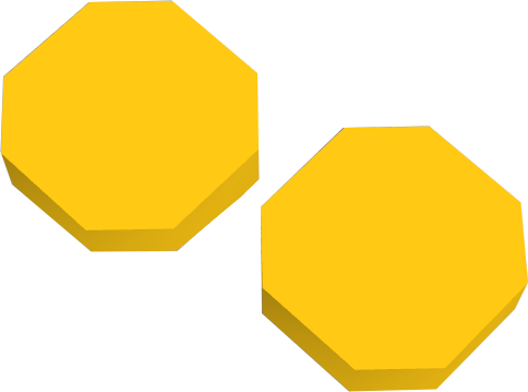 File:2 coins detail.png